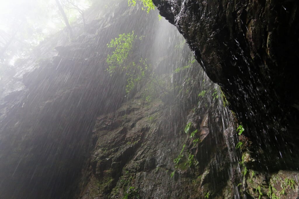 大雨の山中