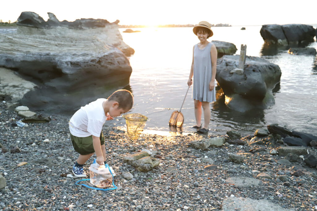 磯遊びする子供