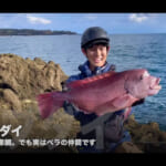 【画像】餌代0円でイシダイを爆釣り？　釣りYouTuberの必殺「カニジグヘッド」の効果とは 〜 画像1