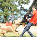 【画像】琵琶湖畔に多種多彩なキャンピングカーが大集合！　「BIWAKOアウトドアキャンピングカーフェスタ2024」開催【2024年6月1・2日】 〜 画像1