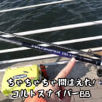 【画像】青物釣りは成功なるか？　NEWタックルを投げまくる「初心者釣りガール」の休日に密着 〜 画像1