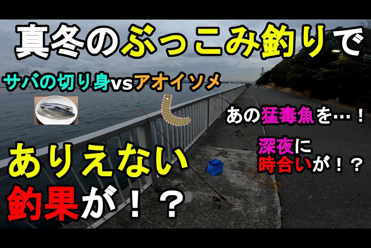 まさかの大物までゲット！「ぶっこみ釣り」で釣果をあげる餌はサバの切り身？　そろともアオイソメ？