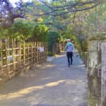茅ヶ崎市の高砂緑地