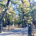【画像】駅チカで三重塔が建つ旧別荘地の庭園を巡る、贅沢な大人の時間を嗜む茅ヶ崎「高砂緑地」散策 〜 画像1