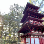 【画像】駅チカで三重塔が建つ旧別荘地の庭園を巡る、贅沢な大人の時間を嗜む茅ヶ崎「高砂緑地」散策 〜 画像1