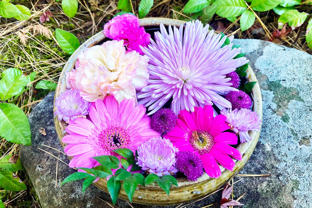 一条恵観山荘の花手水