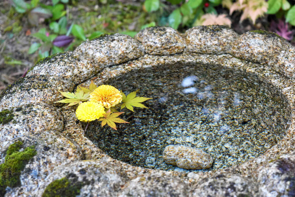 一条恵観山荘の花手水