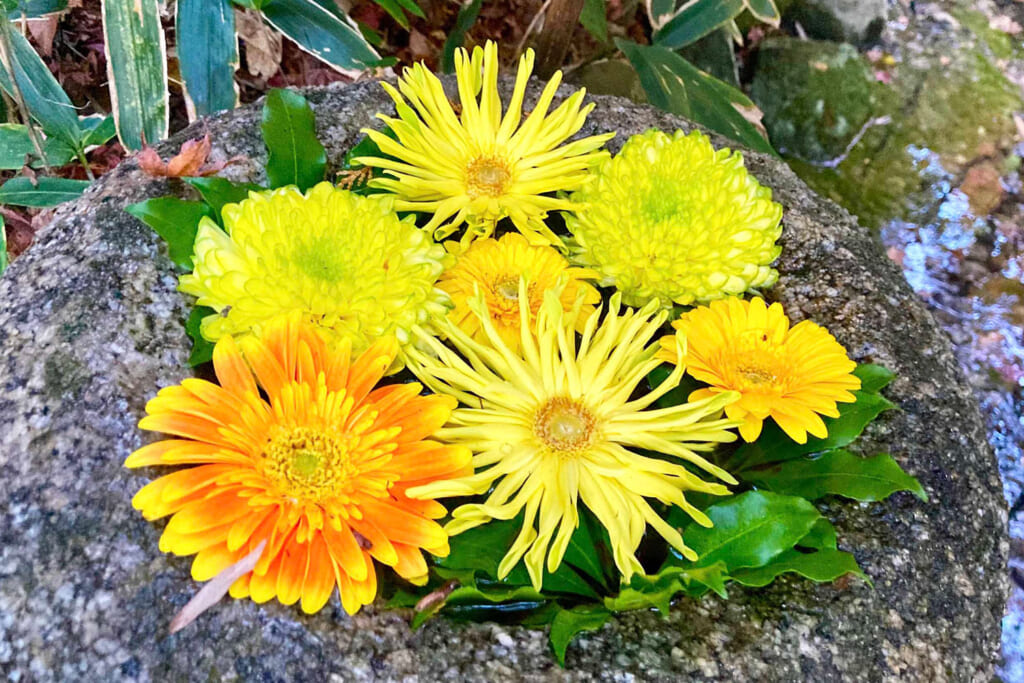 一条恵観山荘の花手水