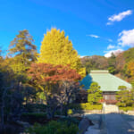 【画像】紅葉もみじと銀杏の鎌倉の名所で花手水に癒される！　春ならではの散歩旅はいかが 〜 画像1