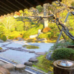 【画像】紅葉もみじと銀杏の鎌倉の名所で花手水に癒される！　春ならではの散歩旅はいかが 〜 画像1