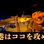六畳一間の狼のキャプチャー