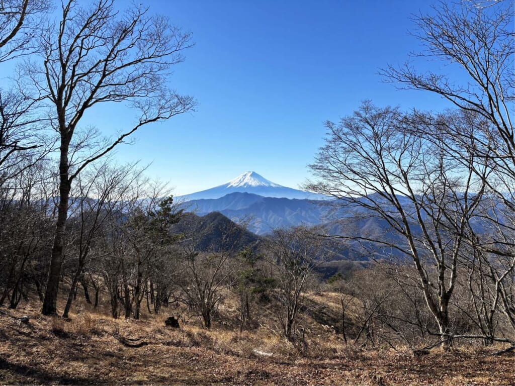 小金沢連嶺から望む富士山