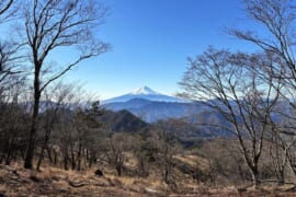 小金沢連嶺から望む富士山