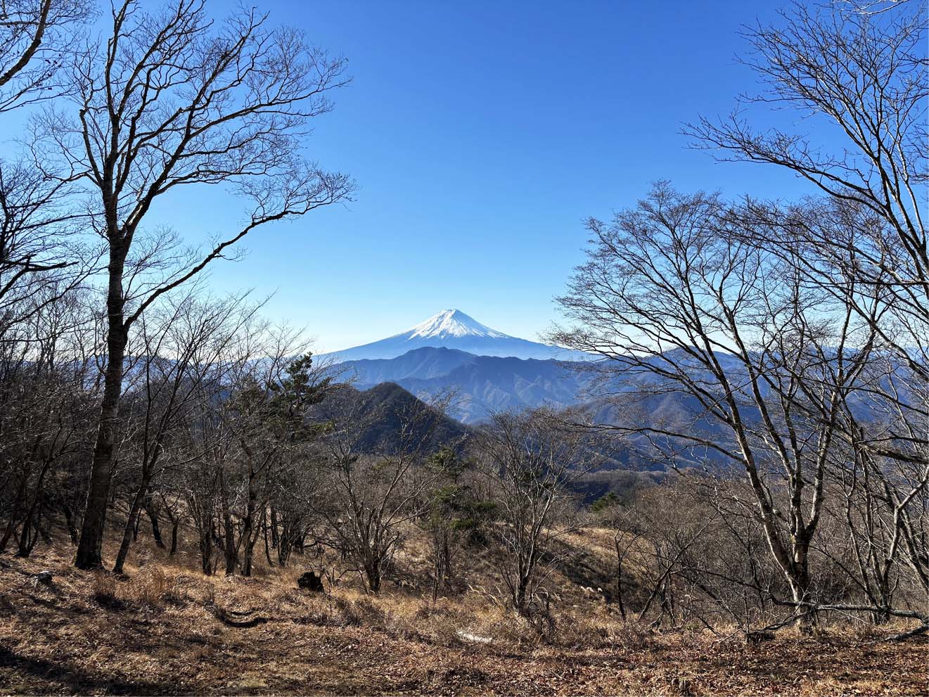 初心者向け絶景富士見の縦走デビュー！　三番山頂コンビ「大蔵高丸〜ハマイバ」縦走のススメ
