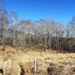 【画像】【秀麗富嶽十二景】初心者向け絶景富士見の縦走デビュー！　三番山頂コンビ「大蔵高丸〜ハマイバ」縦走のススメ 〜 画像1