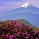 【画像】【秀麗富嶽十二景】初心者向け絶景富士見の縦走デビュー！　三番山頂コンビ「大蔵高丸〜ハマイバ」縦走のススメ 〜 画像1