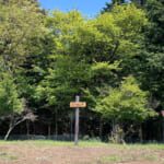 【画像】絶景富士山を望む高松山「カルディのスクエアクッカー&ミニパンセット」で台湾山飯に舌鼓 〜 画像1