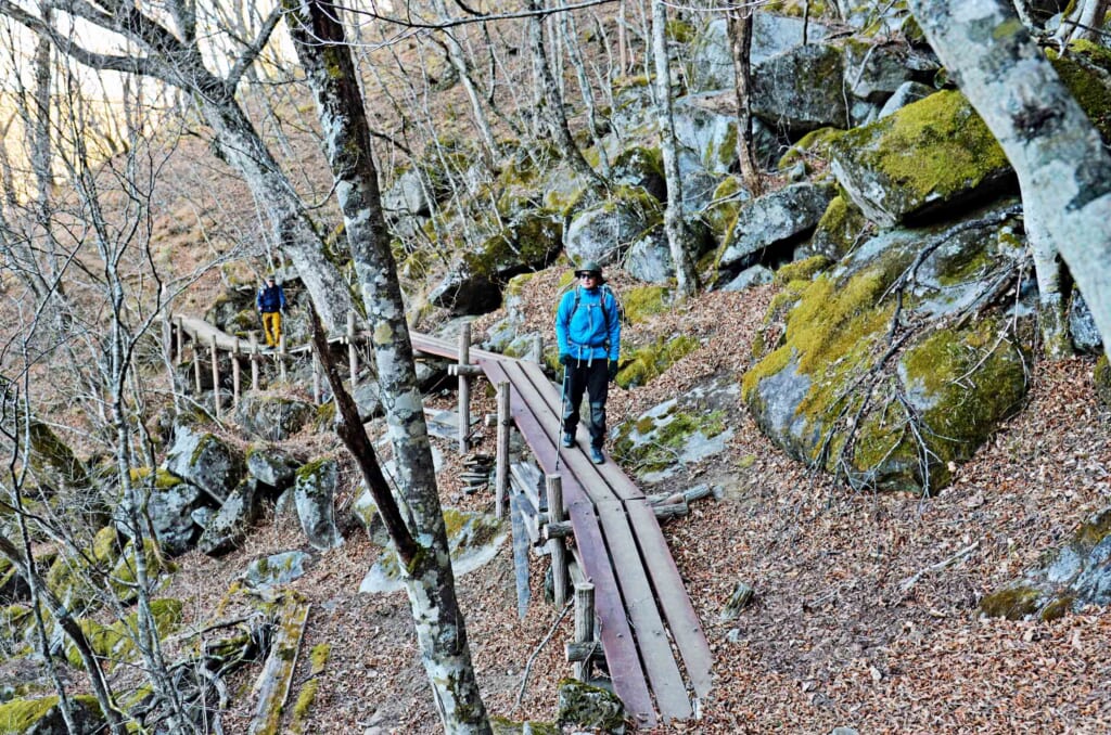 雁ヶ腹摺山の登山道