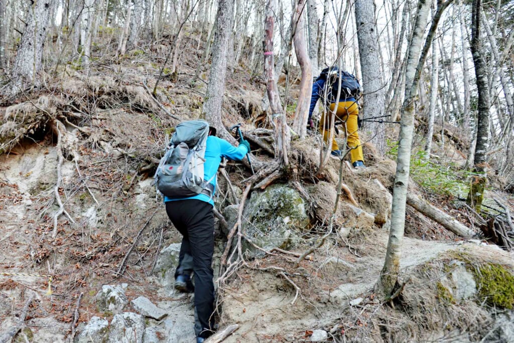 雁ヶ腹摺山の登頂