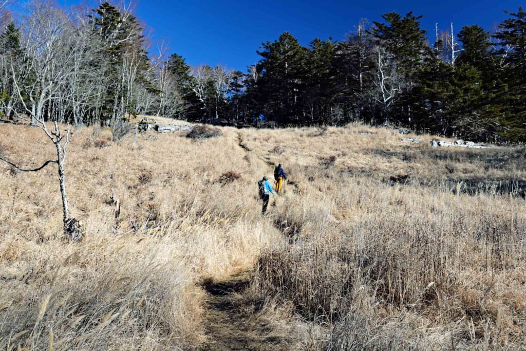 雁ヶ腹摺山の登山