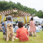 麦ノ秋音楽祭イメージ画像