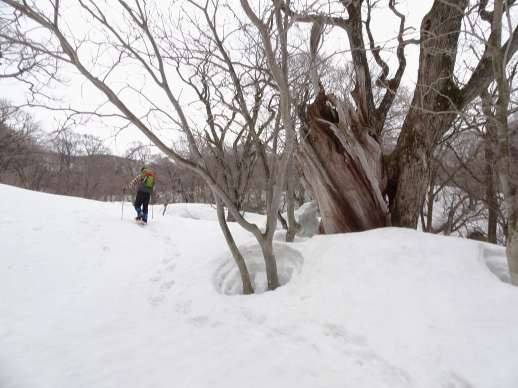 辺りから硫黄臭が漂い野湯が近いと勘違いした