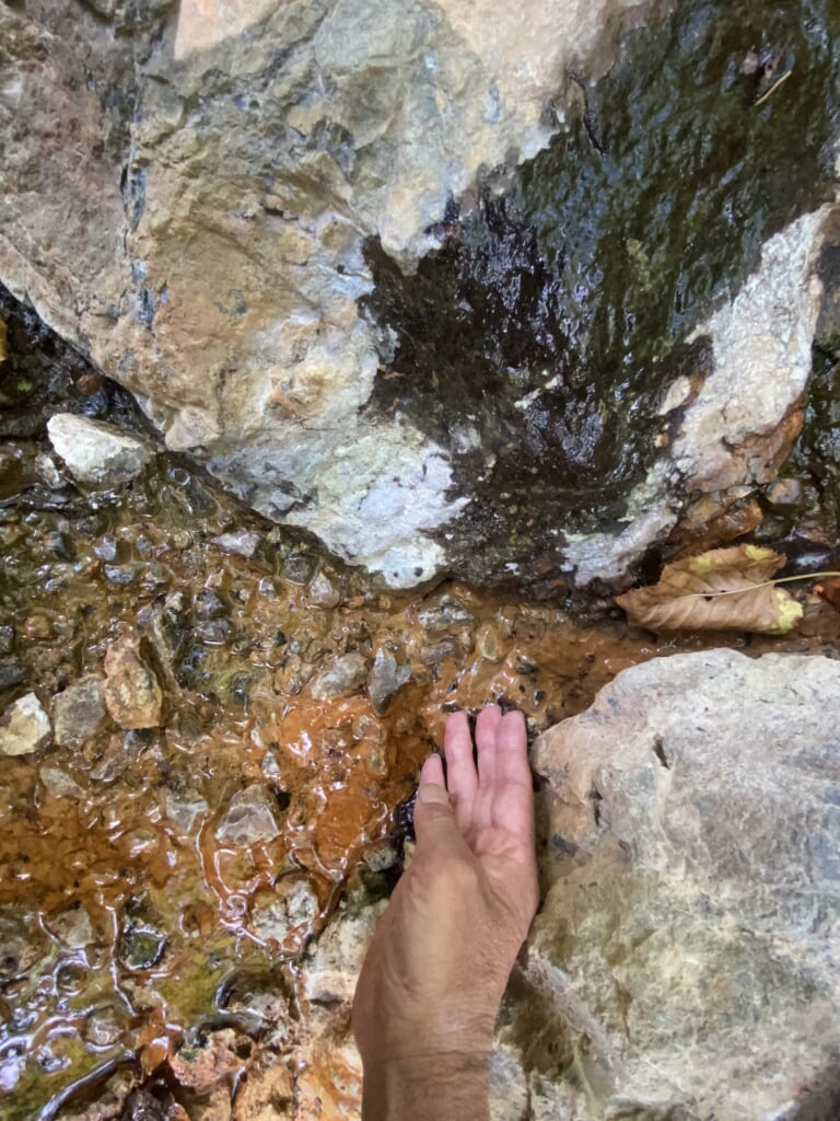 岩の上を温いお湯が僅かに流れていた