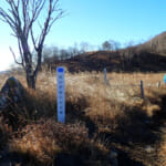 【画像】【秀麗富嶽十二景】お花畑広がる初心者向け三番山頂「大蔵高丸」、絶景富士見の山頂からスタンドシートさながらの景観美に酔いしれる 〜 画像1