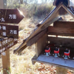 【画像】【秀麗富嶽十二景】お花畑広がる初心者向け三番山頂「大蔵高丸」、絶景富士見の山頂からスタンドシートさながらの景観美に酔いしれる 〜 画像1