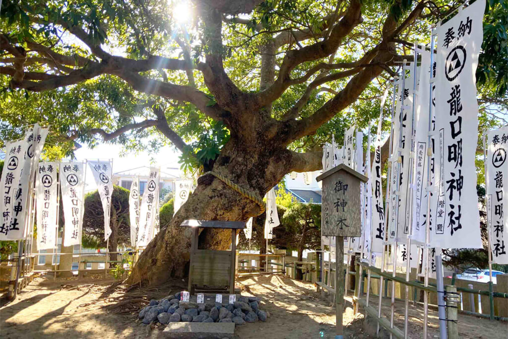 鎌倉市の龍口明神社