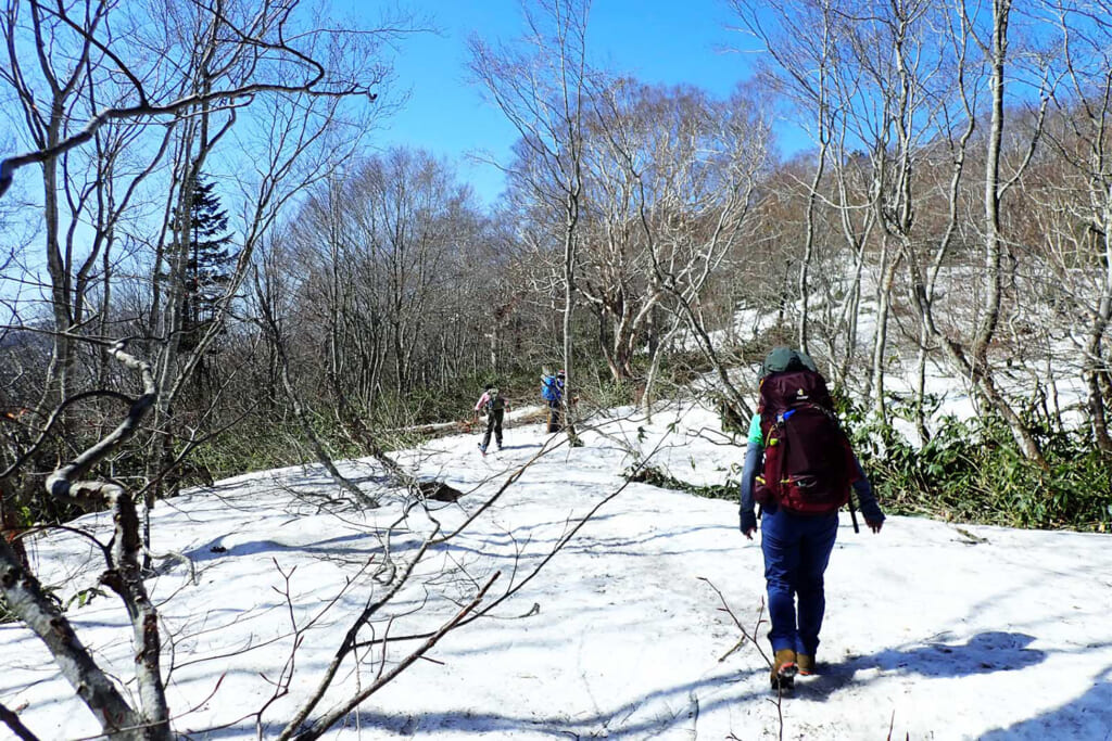 残雪期の至仏山登山