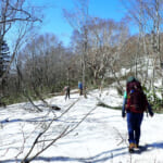 【画像】鳩待峠発から至仏山と巡る、春限定の残雪期ルートで行く白銀の至仏山登山と尾瀬ヶ原ハイク 〜 画像1