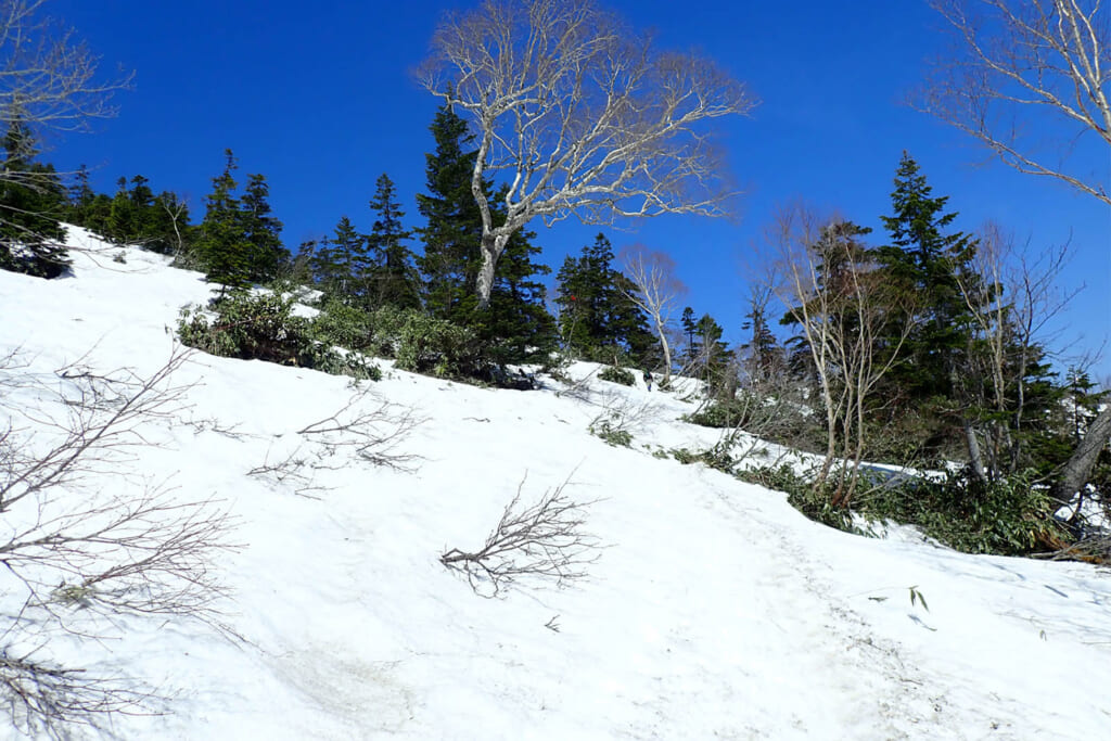 残雪期の至仏山登山