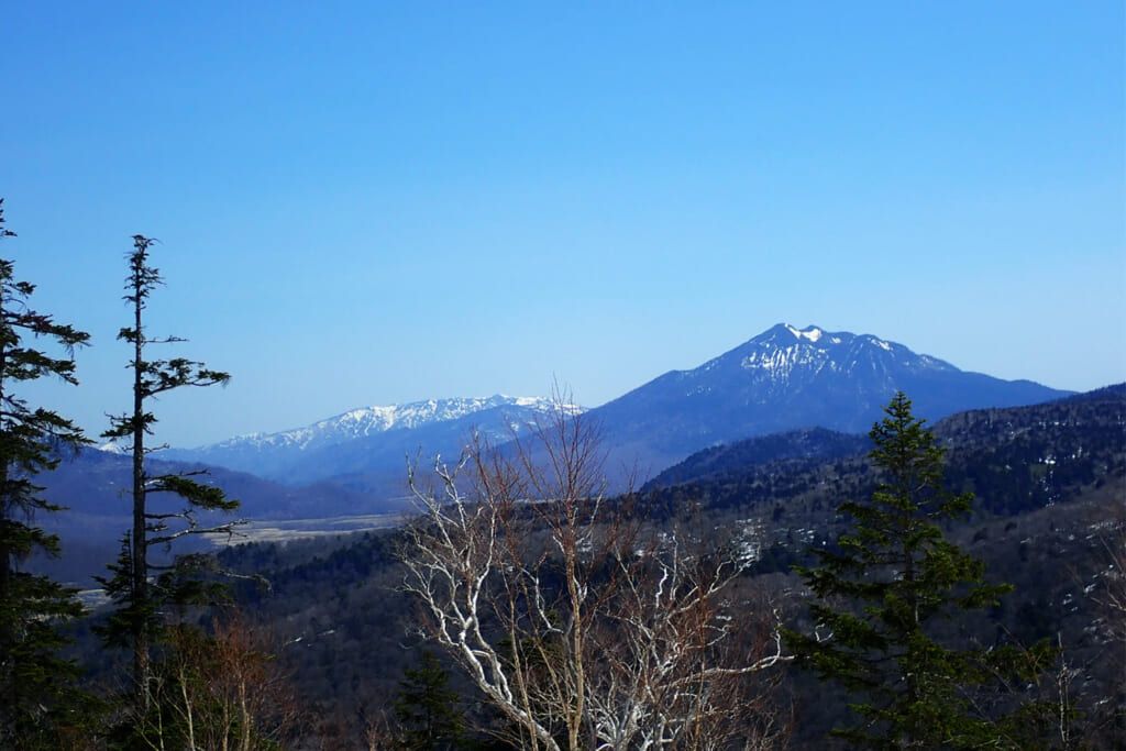燧ヶ岳の山頭部