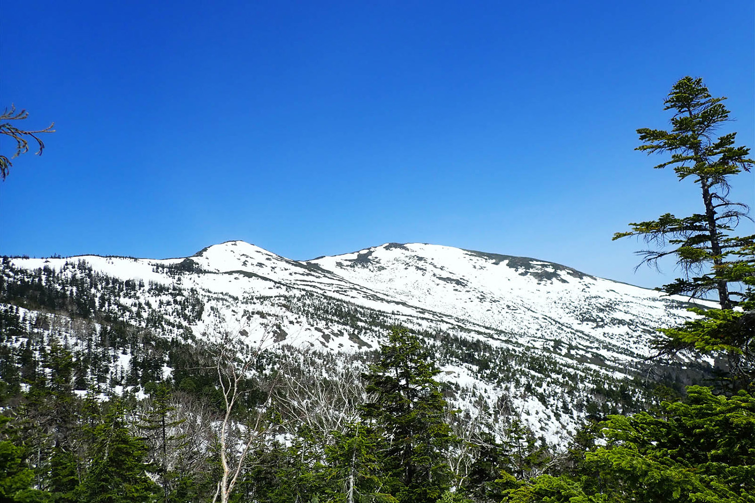 鳩待峠発から至仏山と巡る、春限定の残雪期ルートで行く白銀の至仏山登山と尾瀬ヶ原ハイク