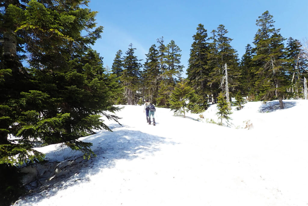 残雪期の至仏山登山