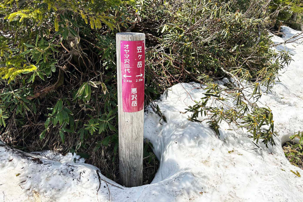 悪沢岳の道標