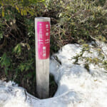【画像】鳩待峠発から至仏山と巡る、春限定の残雪期ルートで行く白銀の至仏山登山と尾瀬ヶ原ハイク 〜 画像1