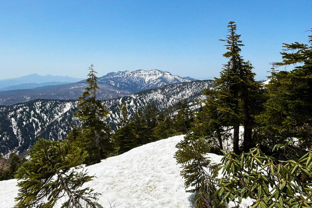 残雪期の至仏山登山