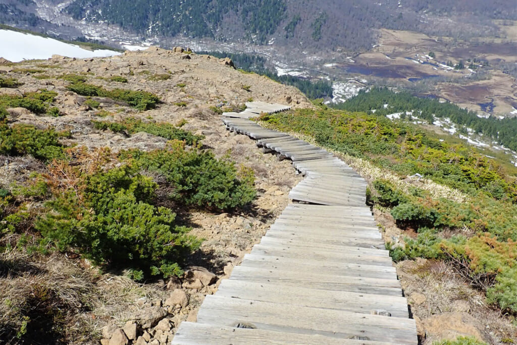 至仏山の木の階段