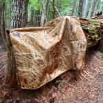 アウトドア利用