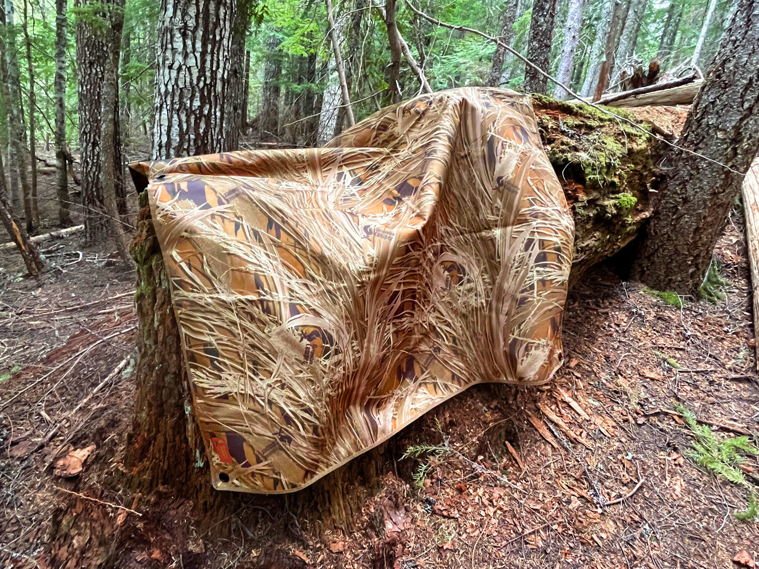 新色のシャドーグラスが強烈インパクトを放つ！ 「オレゴニアン