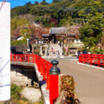 【画像】恋の橋巡りと聖火リレーの地を巡る、恋愛成就のパワースポット「修善寺散歩の旅」で恋が叶うかも？ 〜 画像1