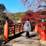 【画像】恋の橋巡りと聖火リレーの地を巡る、恋愛成就のパワースポット「修善寺散歩の旅」で恋が叶うかも？ 〜 画像1