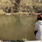【画像】夕飯は釣った魚と熱燗なんて素敵!?　DIY軽トラ「ゆきかぜ」でまったり釣行＆車中泊がガチ過ぎる 〜 画像1
