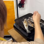 【画像】夕飯は釣った魚と熱燗なんて素敵!?　DIY軽トラ「ゆきかぜ」でまったり釣行＆車中泊がガチ過ぎる 〜 画像1
