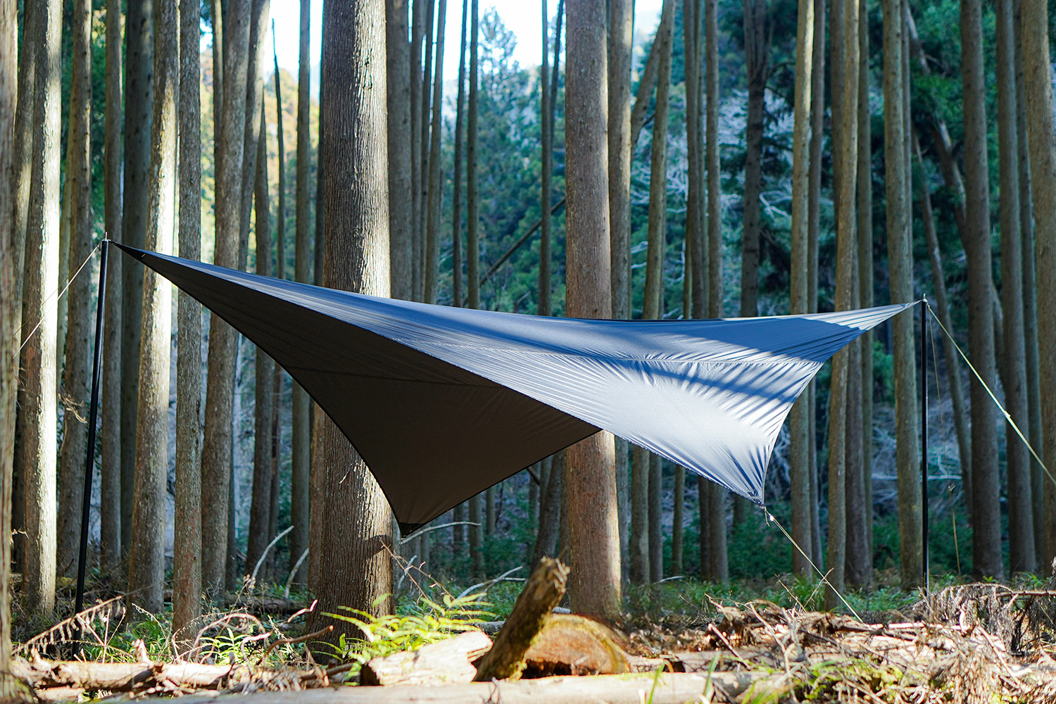 tokyocamp_phoenixtarp1.jpg