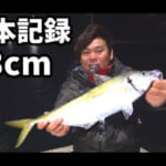 釣りよかでしょう。のキャプチャー