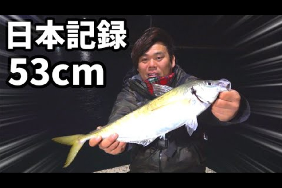 もはや事件レベル？　日本記録更新か!?　堤防で釣った53cmの「バケモノ巨大アジ」に大興奮