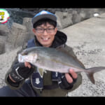 【画像】もはや事件レベル？　日本記録更新か!?　堤防で釣った53cmの「バケモノ巨大アジ」に大興奮 〜 画像1